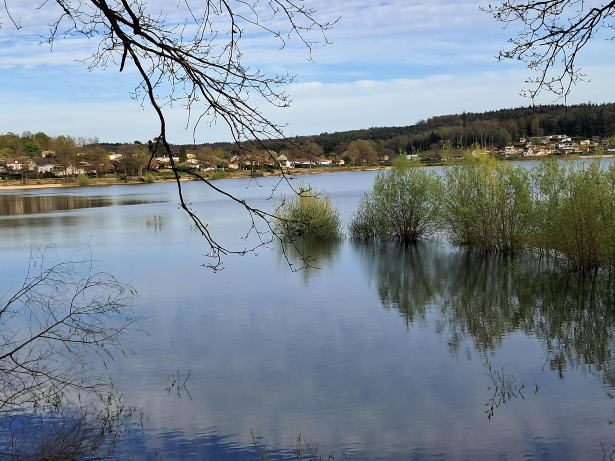 Grand Gite Des Pins Chaumousey Exterior foto